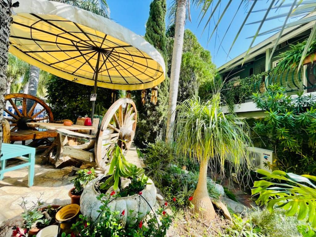 Out Of Africa Resort Had Nes Εξωτερικό φωτογραφία