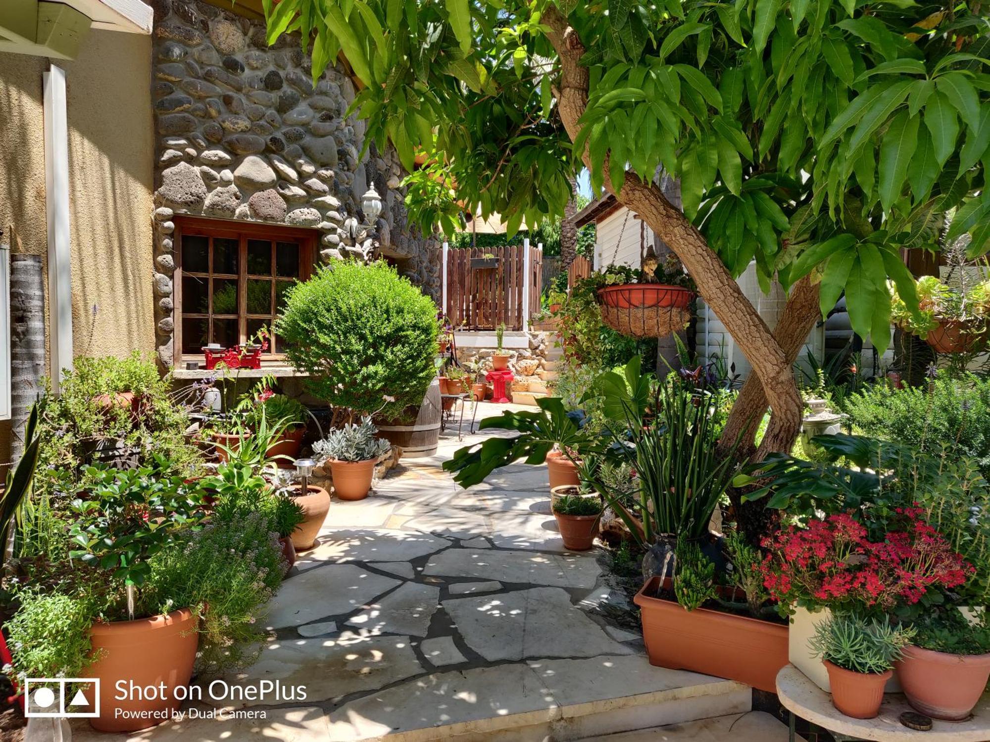 Out Of Africa Resort Had Nes Δωμάτιο φωτογραφία
